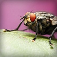 /album/cortes-de-pelo-chicas/photolia-a08-jpg/